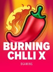 Burning Chilli X - SpicyWinner won 3678.90 USD at Coins Game Casino